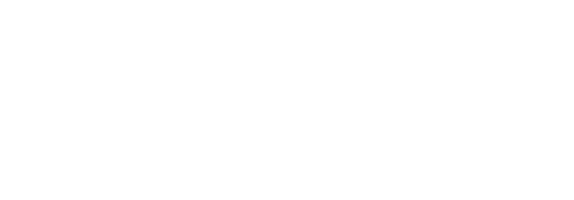 Basha Management Services